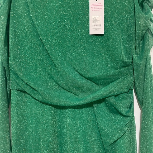 NWT Lilly Pulitzer Preslie Long Sleeve Mesh Midi Dress - Size Large - Picture 4 of 5
